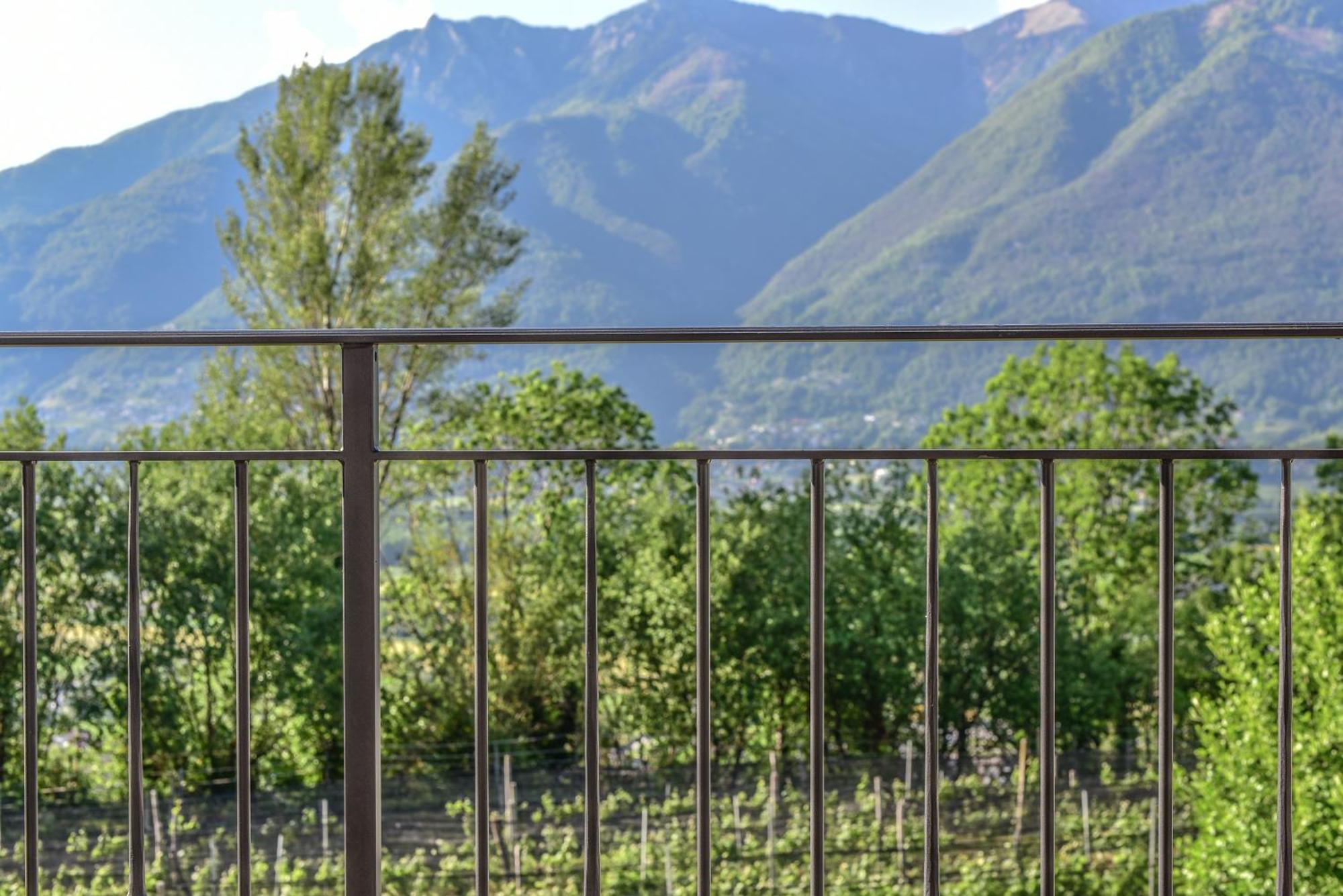 Bed and Breakfast Viva Bacco Gambarogno Экстерьер фото