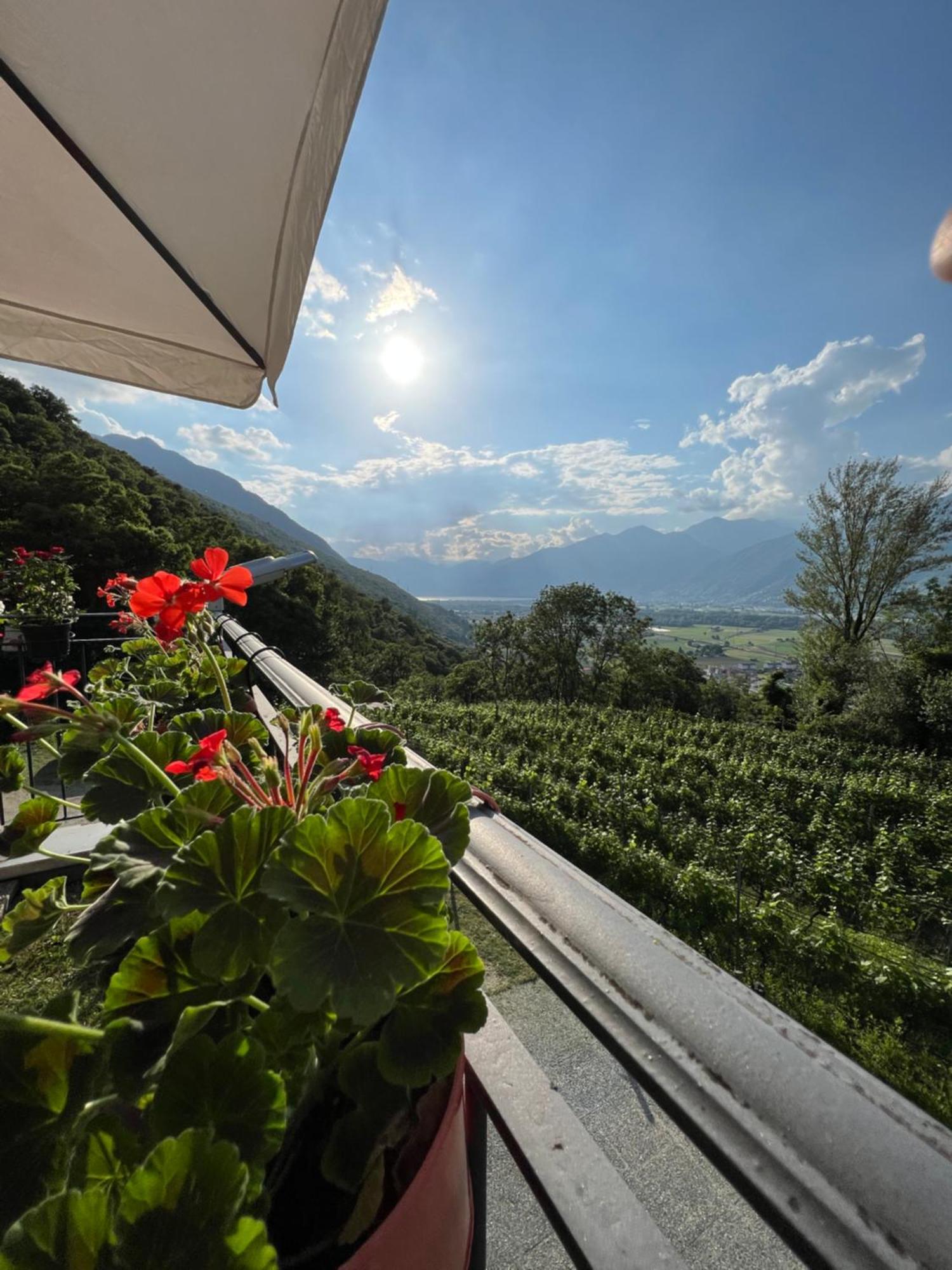 Bed and Breakfast Viva Bacco Gambarogno Экстерьер фото